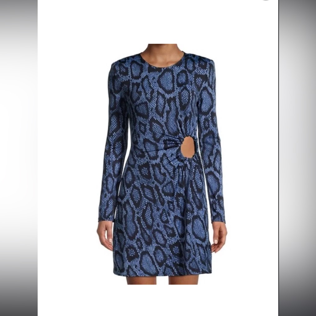 Danielle Bernstein Python Print O-Ring Dress